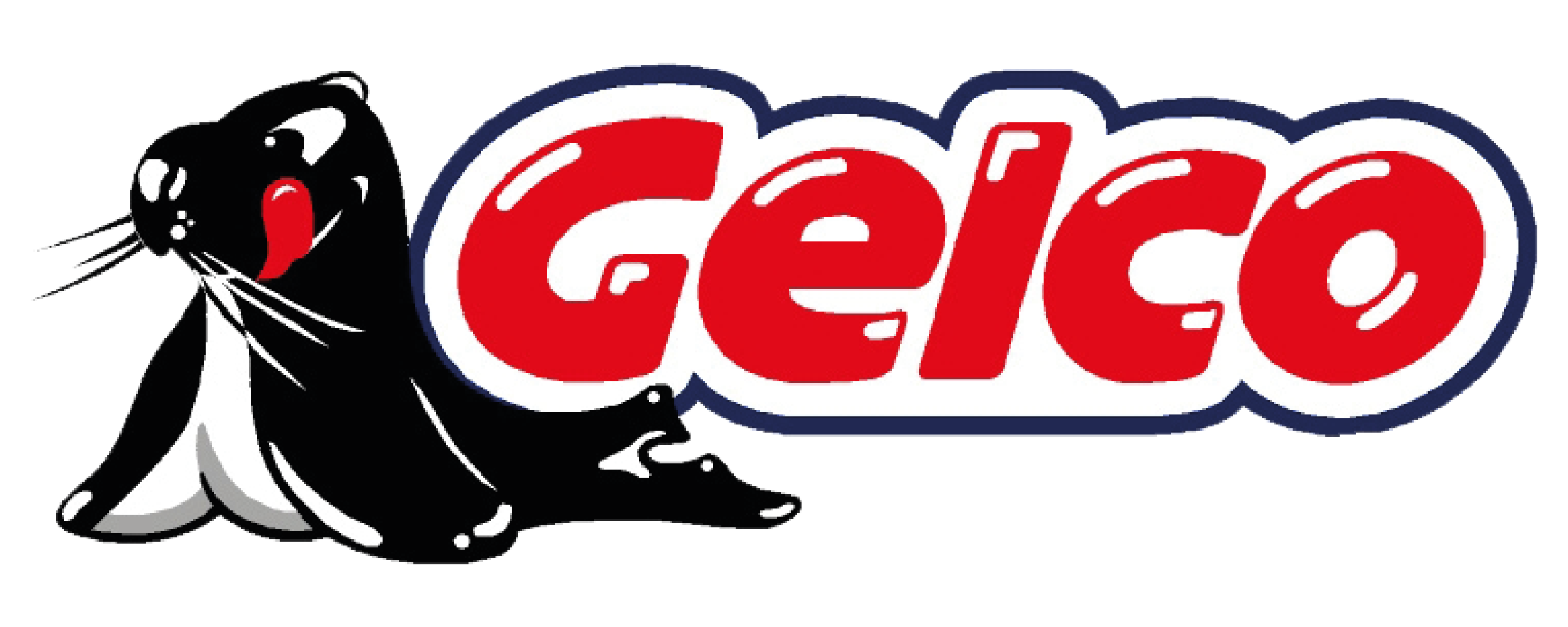 Gelco — Silver Sponsor Montorio Volley